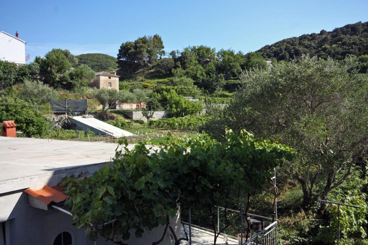 Family Friendly Apartments With A Swimming Pool Supetarska Draga - Donja, Rab - 2019 Dış mekan fotoğraf